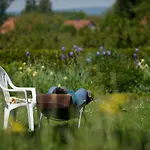 Hotel Gaestehaus St Theresia Bodensee 3*