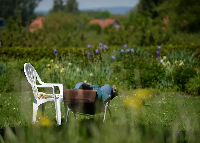 Hotel Gaestehaus St Theresia Bodensee 3*